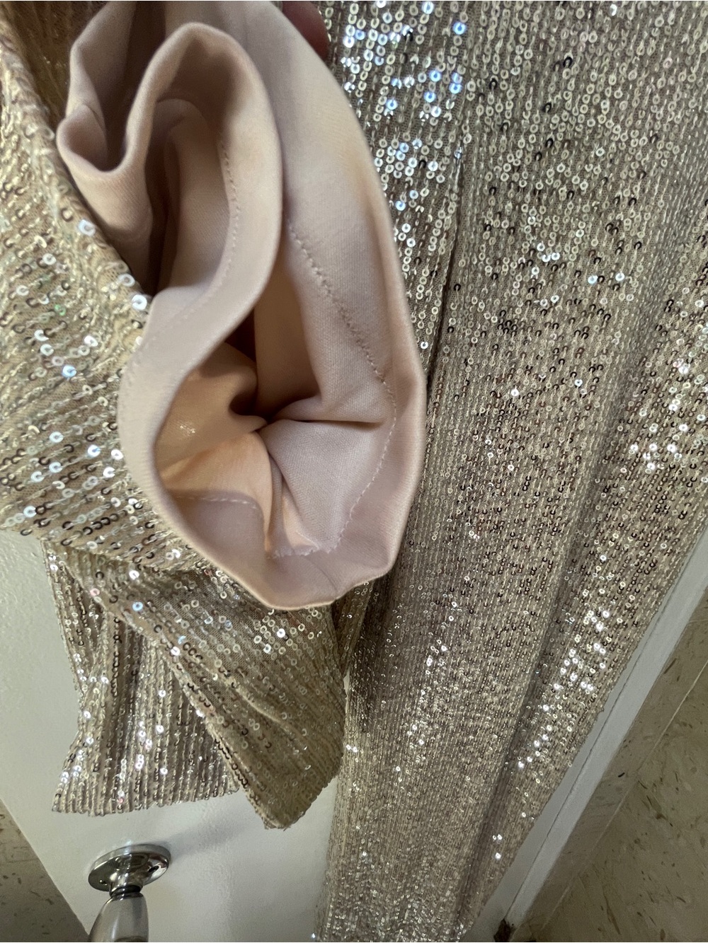 Sequin Wide-Leg Pants- Champagne - Picture 10 of 14